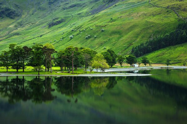 Bright juicy grass on the slope by the lake