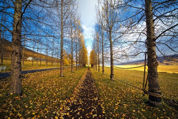 Herbstlandschaft, goldener Herbst