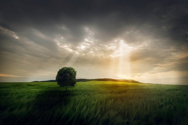 Dämmerung nach lang anhaltendem Sturm Landschaft