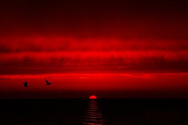 Paesaggio rosso brillante e uccelli