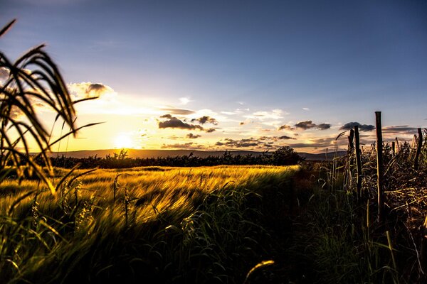 Hermoso paisaje en el campo