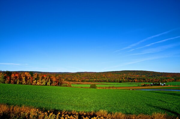 Blue sky over a beautiful field