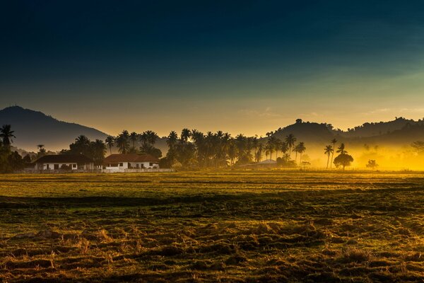 Paisaje de campo en la niebla de la mañana