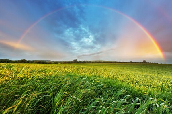 Arc-en-ciel sur le terrain avec de l herbe