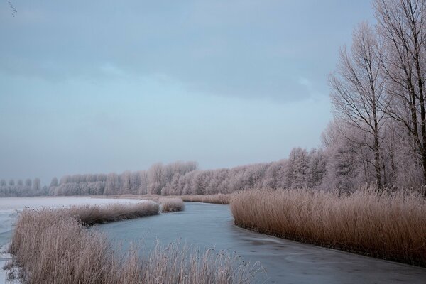 Winter River through the sleeping winter forest