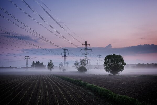 Landschaft eines nebligen Feldes mit Stromversorgungsmasten