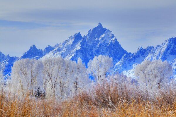 Zimowy park narodowy Wyoming USA z goramią