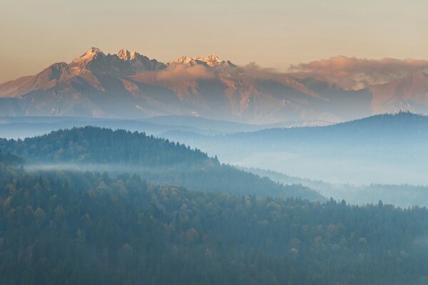 Die Berge im Nebel und der Wald herum