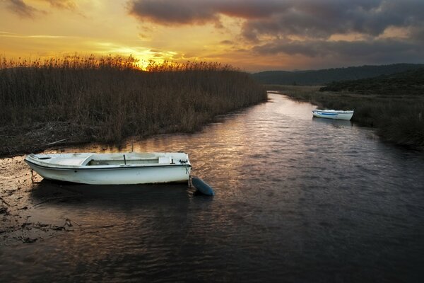 Boats in the reeds evening river sunset