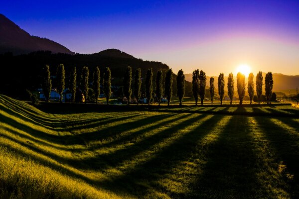 Paesaggio fantastico, il sole si fa strada tra gli alberi e proietta una bella ombra