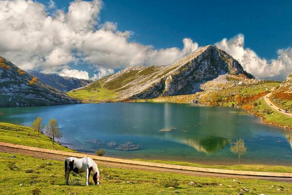 Lake near the mountains. grazing horse