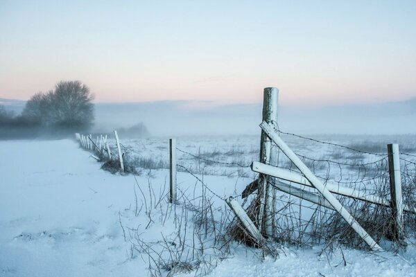 Brouillard le matin. Champ de neige