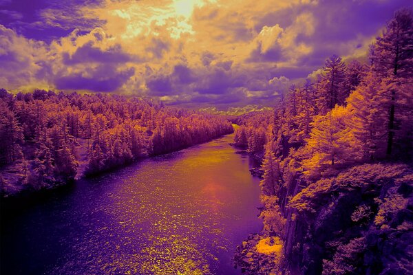 River in the forest in purple