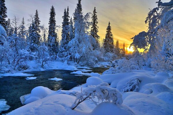 Puesta de sol de invierno en el lago del bosque