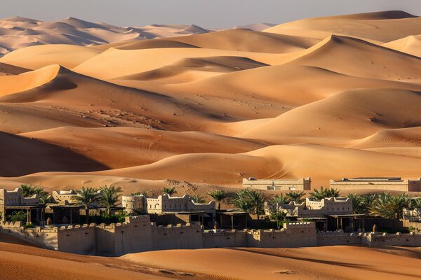 Houses in the desert on the background of a dune