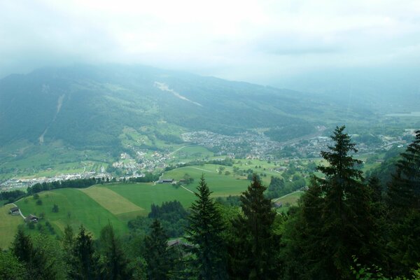 Die Schweiz und die langlebigen Bäume , die die Spitzen der Wolken bekommen