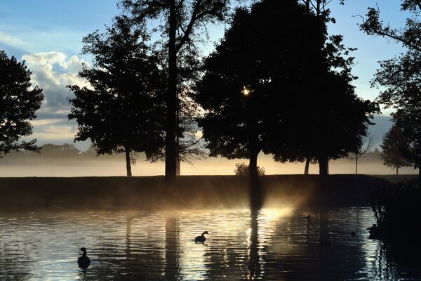 Brumoso amanecer en el lago. mañana