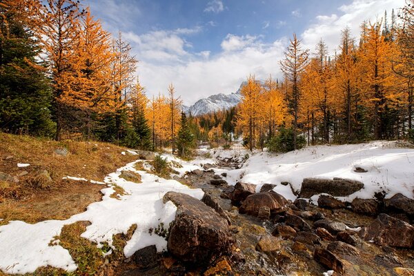 Les montagnes rocheuses du parc National du Canada