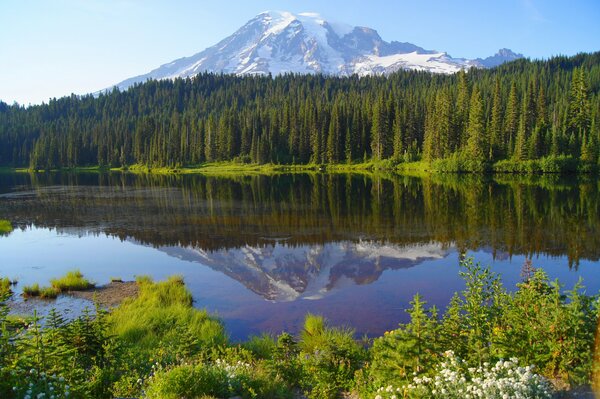 Reflet de la forêt et des montagnes dans un beau lac