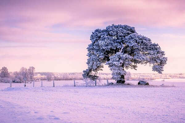 Schöne estnische Winterlandschaft bei Sonnenuntergang