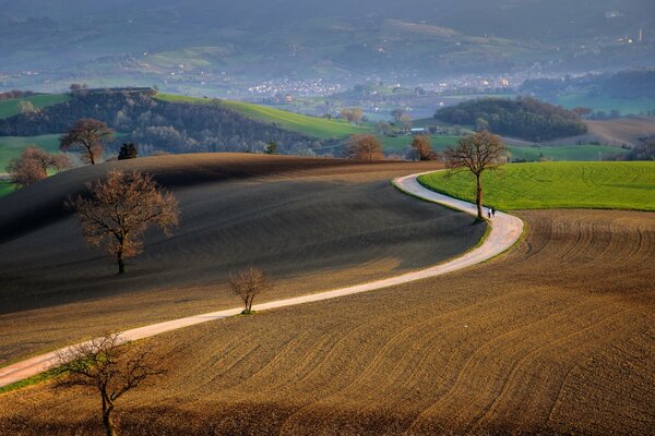 Landscape with a road winding through fields