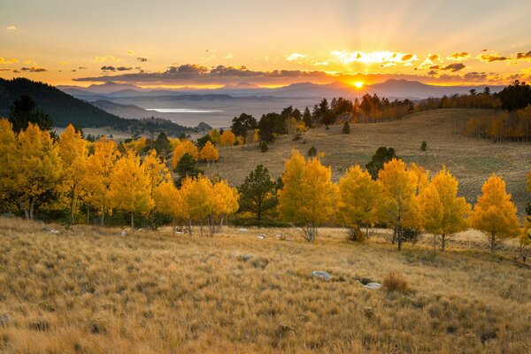 Paysage d automne avec le soleil et les arbres