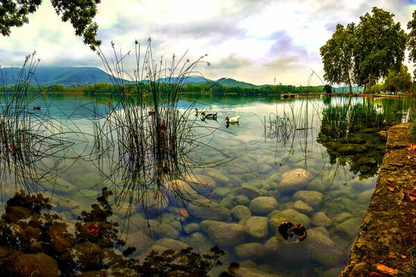 A lake with clear water and trees around