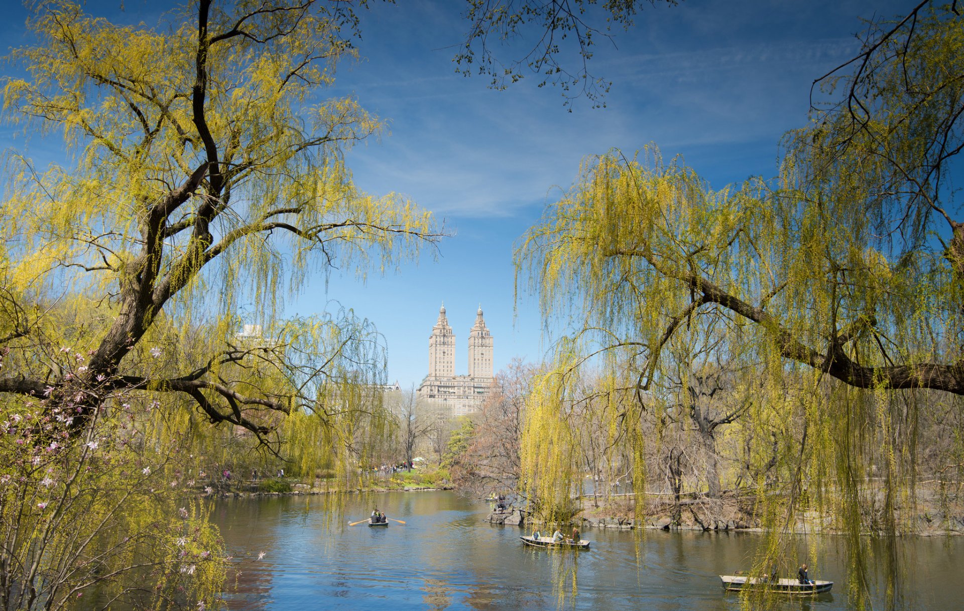 new york stati uniti central park cielo case stagno barca persone alberi primavera