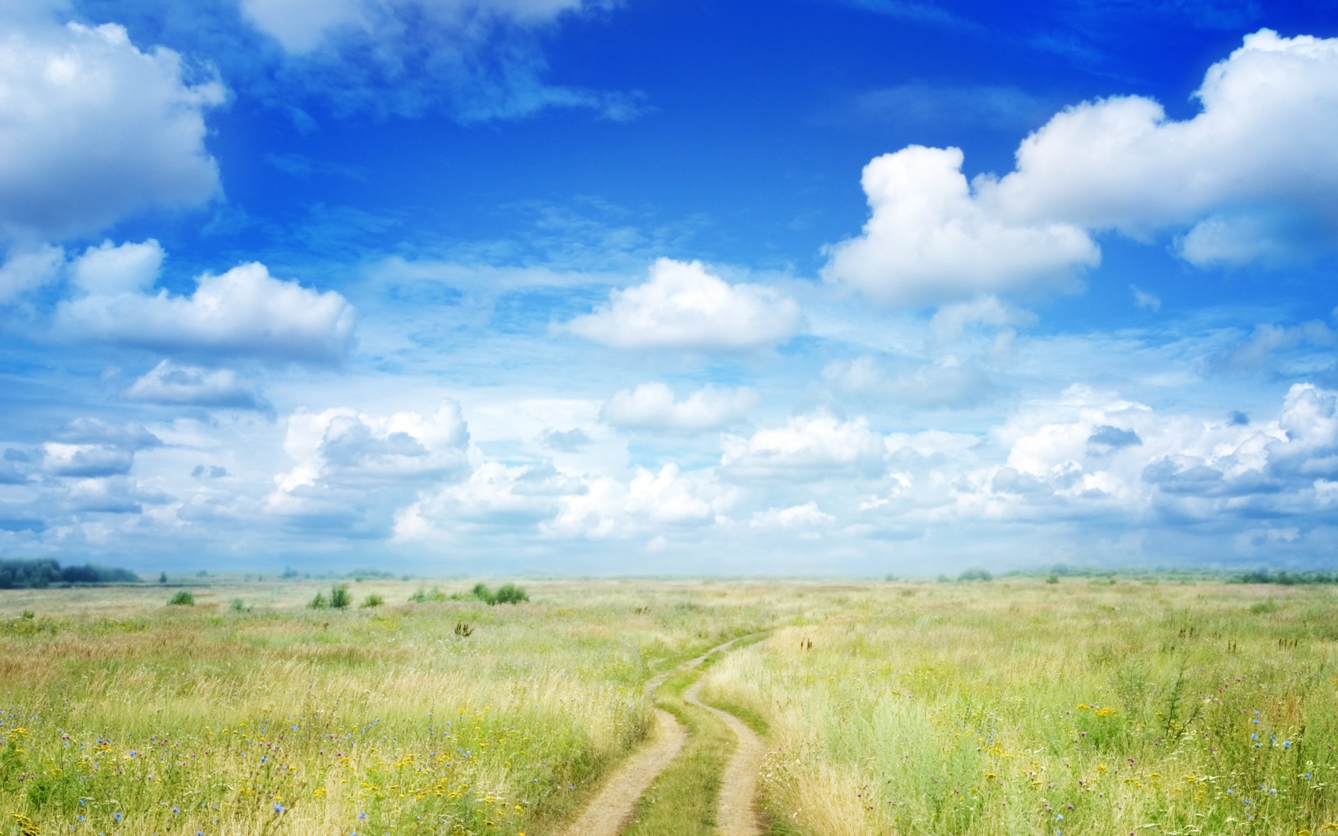 paesaggio natura cielo nuvole campo sentiero