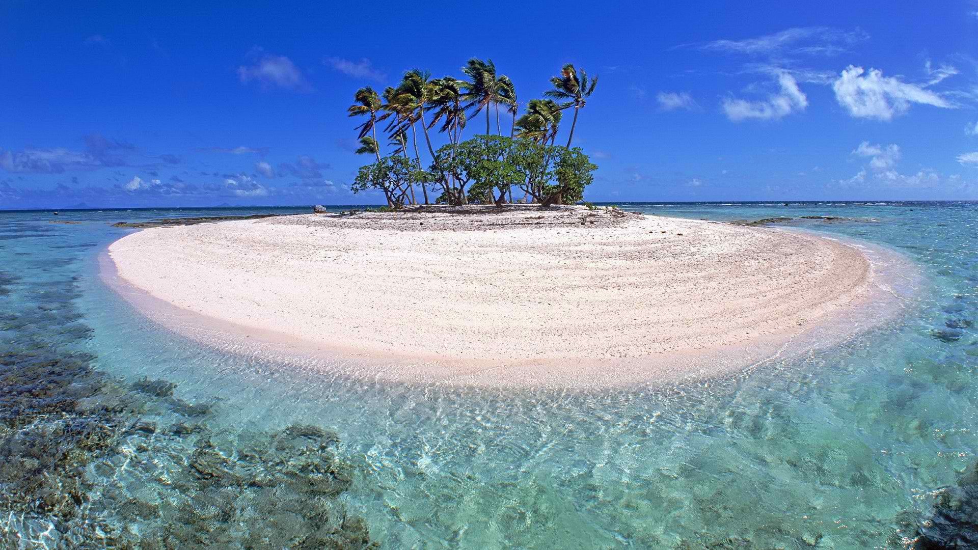 cielo nuvole isola mare oceano palme tropici