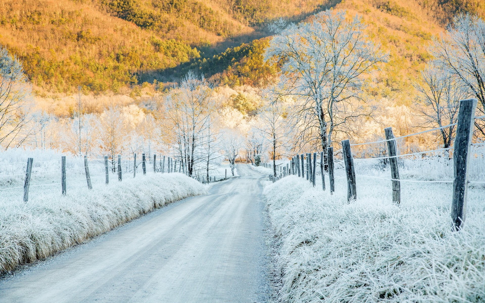 frost from freezing cold mountains cades cove tennessee road fence