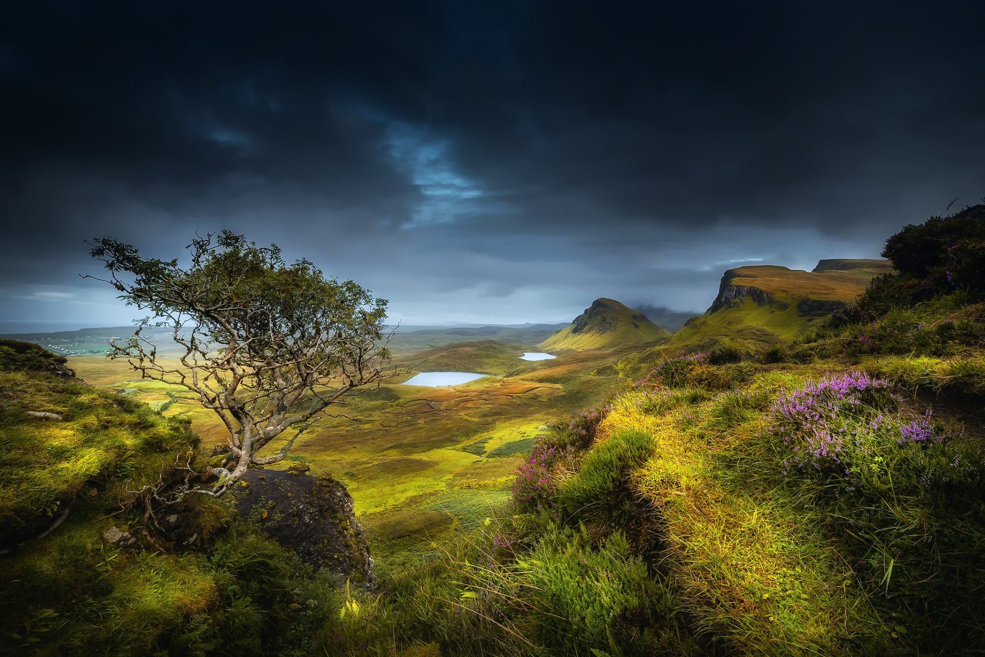 escocia isla de skye región de highland verano agosto colinas montañas rocas valle árbol hierba flores nubes nubes