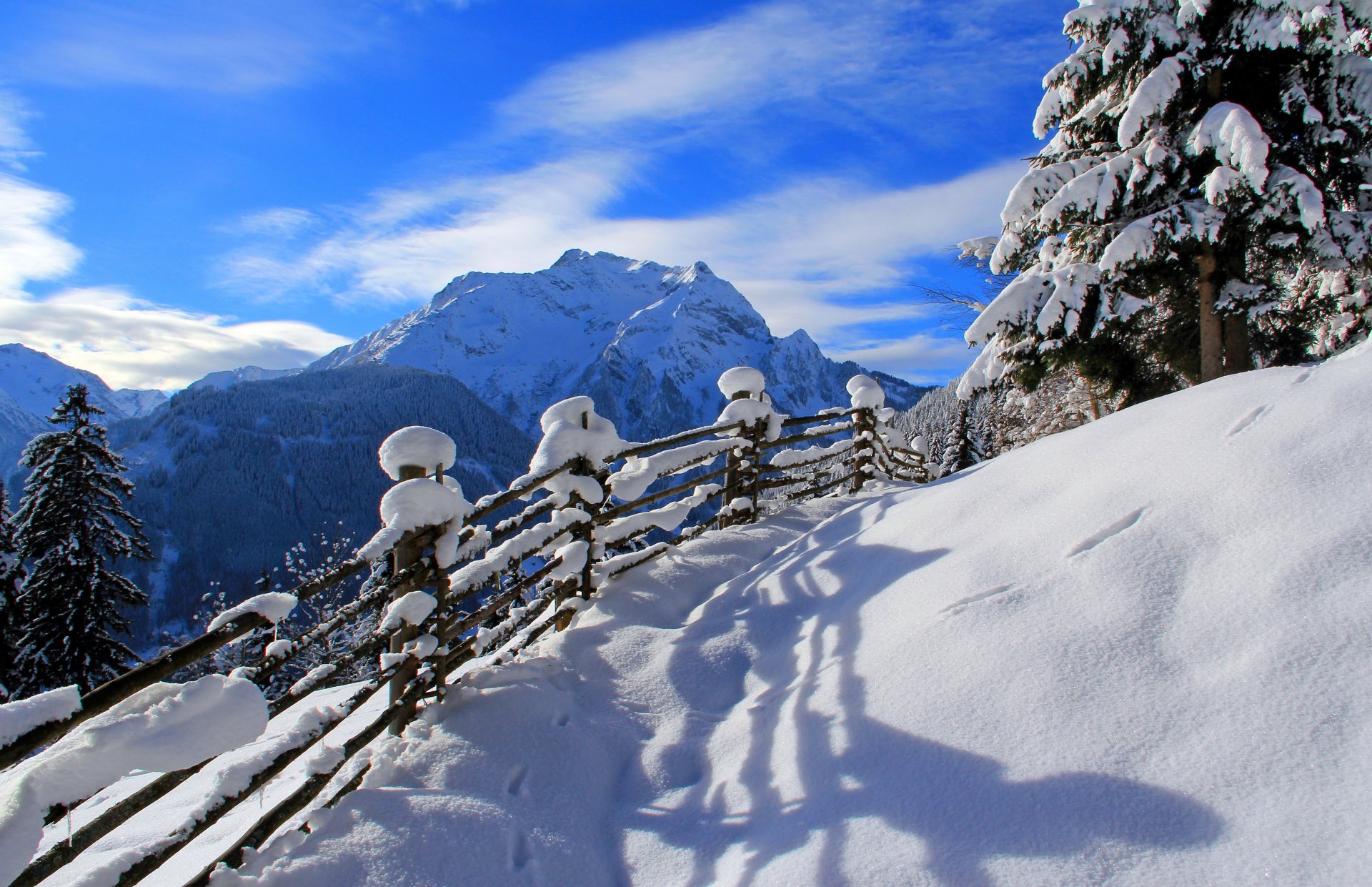 nature hiver neige route arbres forêt ciel paysage montagnes roches vue hiver blanc sensa nice mountains roches parcourir