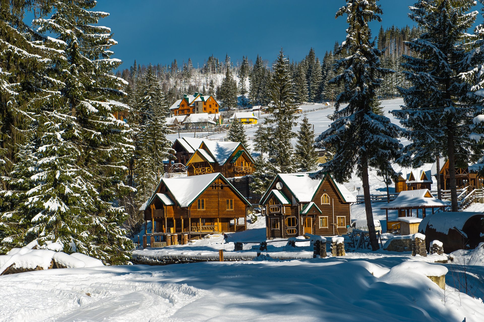 ucraina carpazi foresta alberi abete rosso villaggio case inverno neve sole