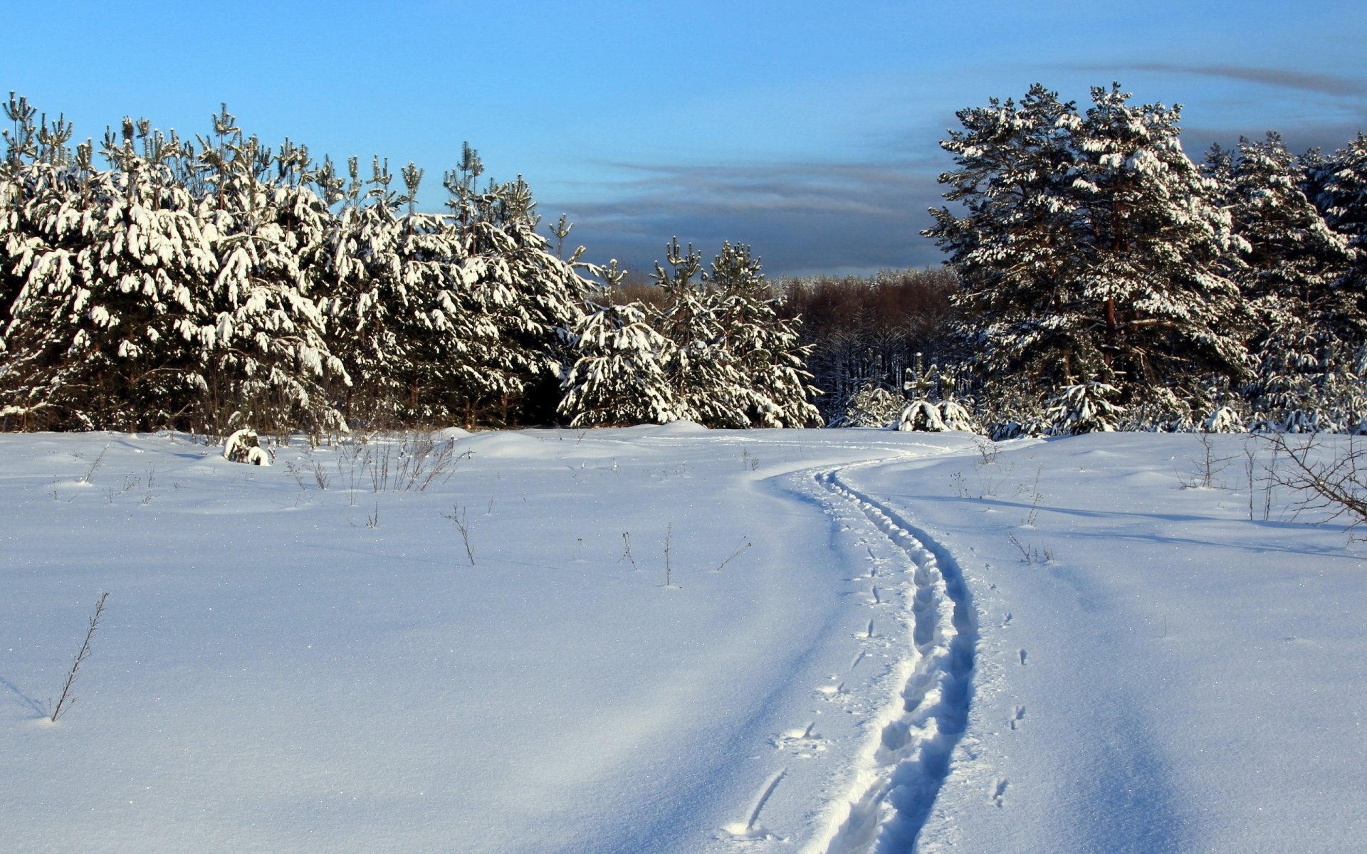 hiver neige paysage