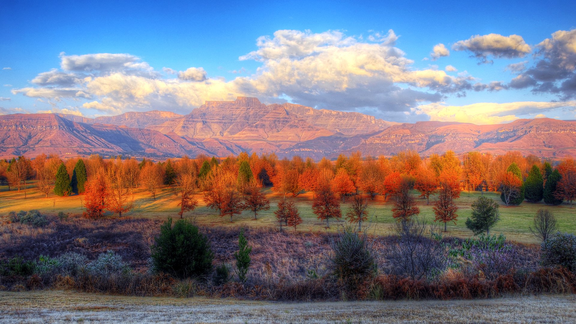 ky clouds mountain forest autumn tree