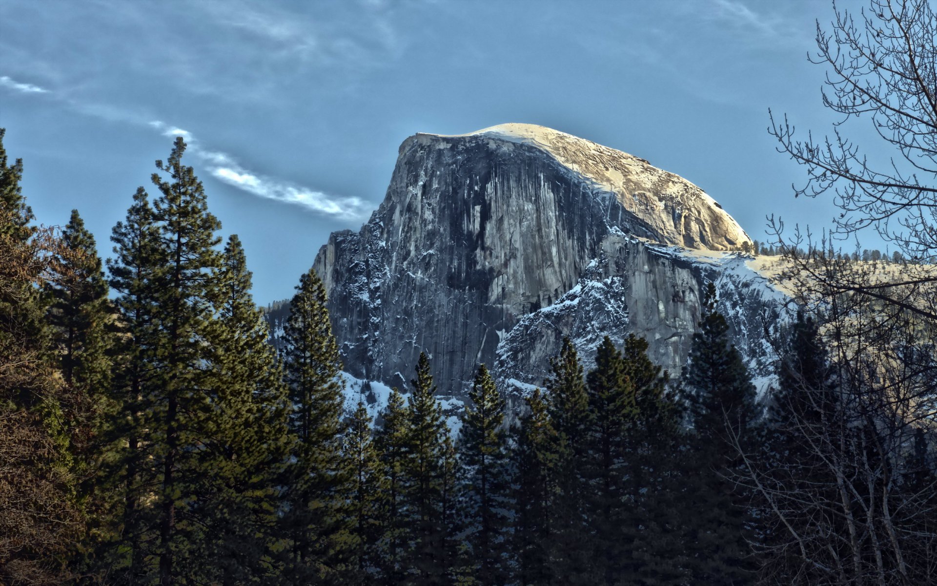 montagne arbres paysage