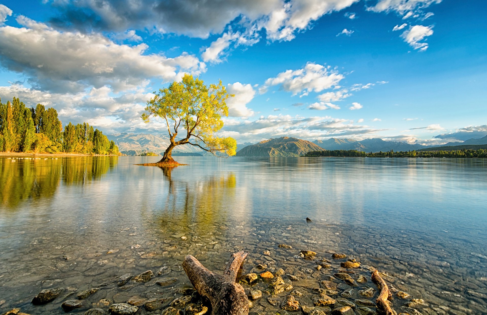 nueva zelanda isla del sur lago huanaka árbol cielo nubes