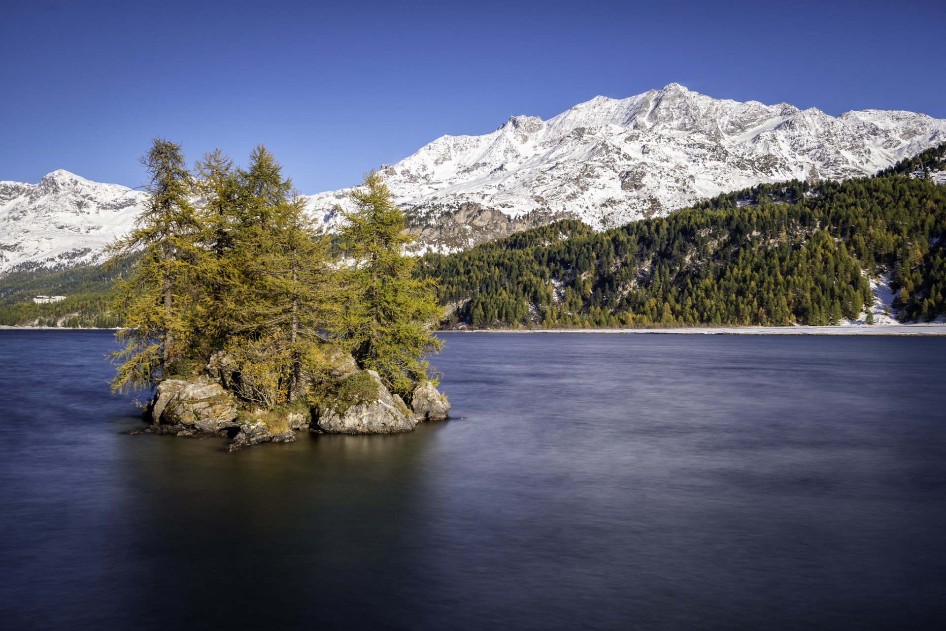 lac sils haut-engadine suisse lac île arbres montagnes neige