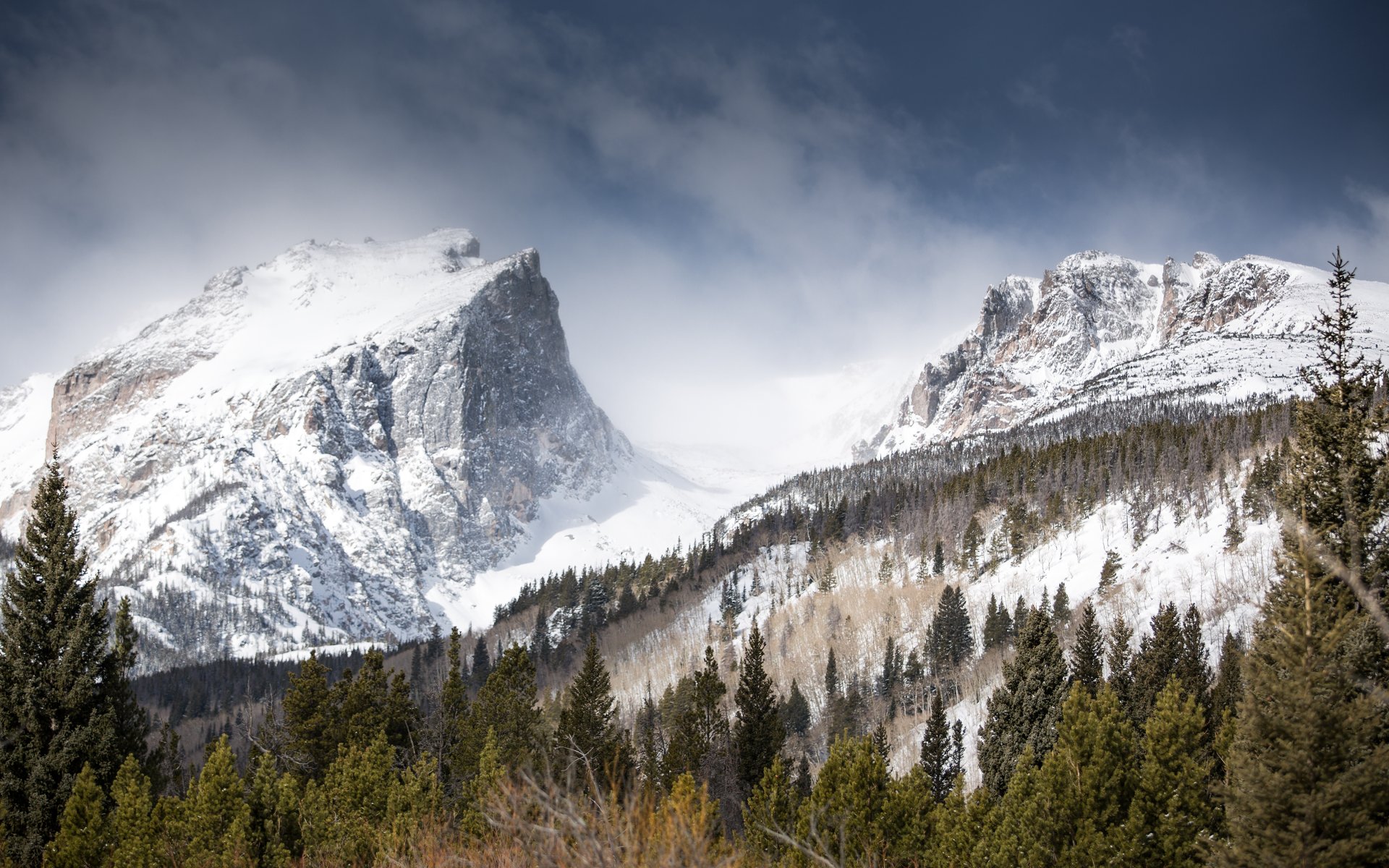 hallett peak góry zima śnieg las natura