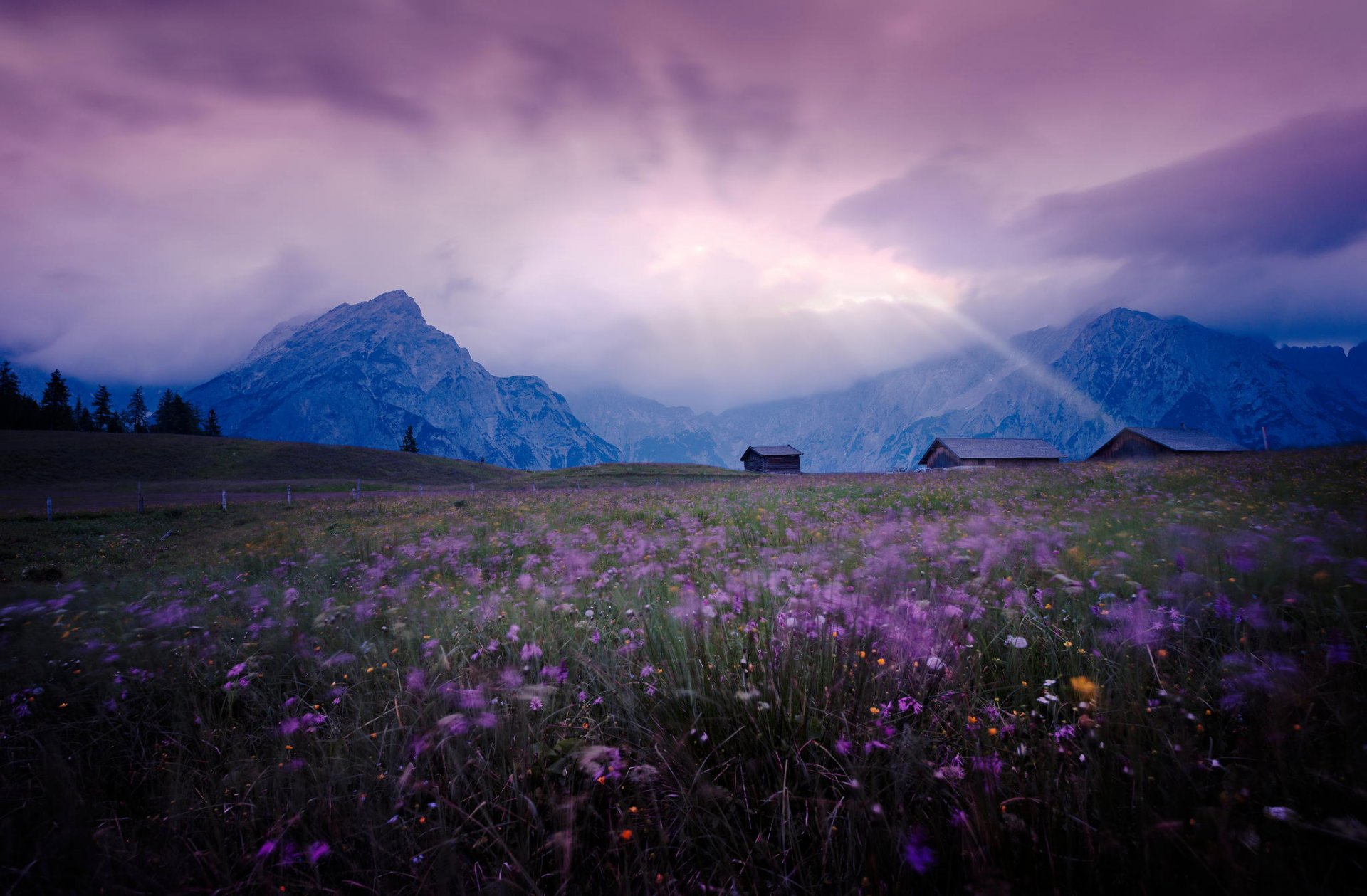 wiese feld blumen flieder berge häuser himmel licht landschaft