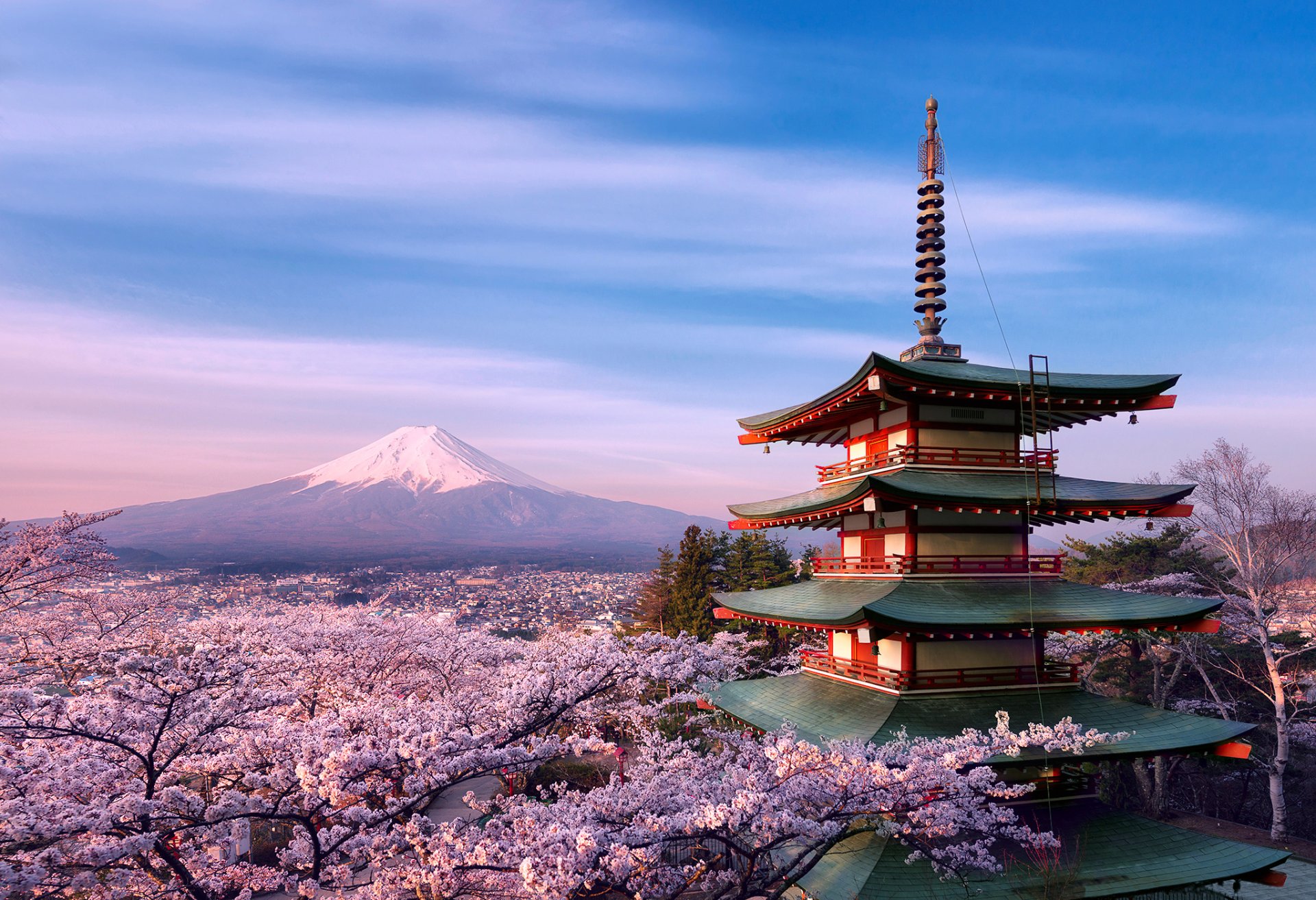 japan stratovolcano mountain fuji 富士山 spring morning april weather house architecture tree sakura flower 忠 霊 塔