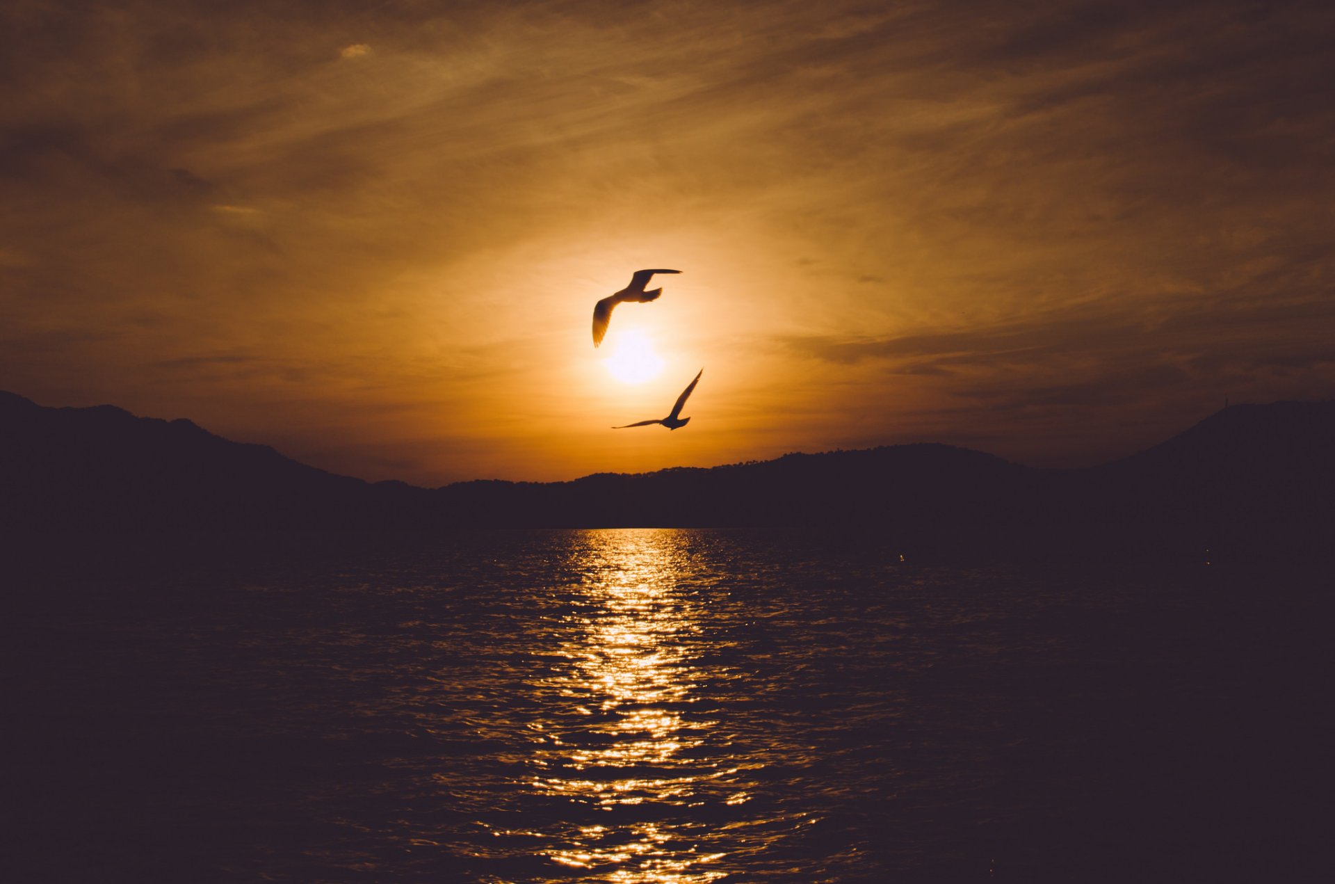 landschaft meer wasser vögel sonnenuntergang himmel