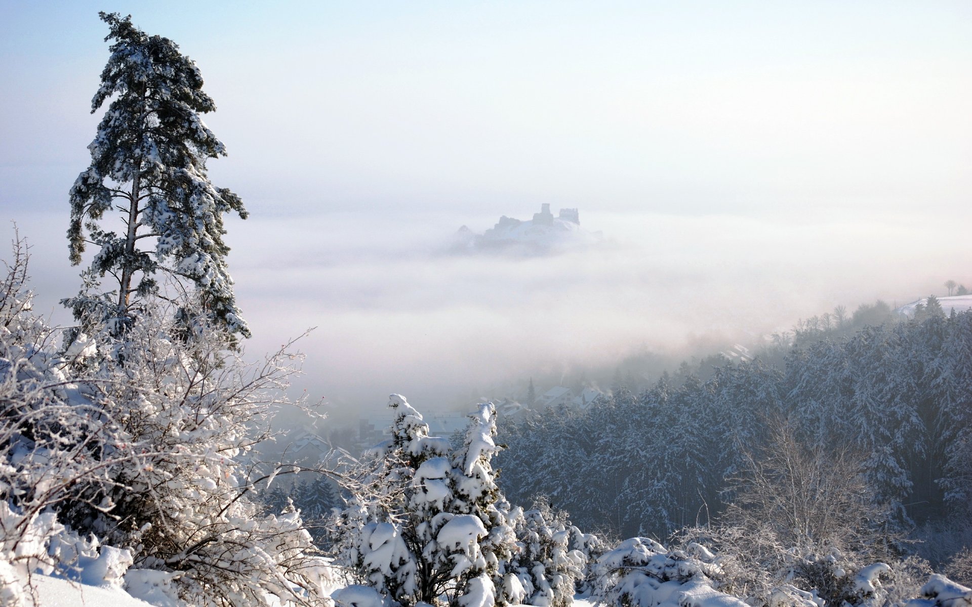 invierno nieve niebla