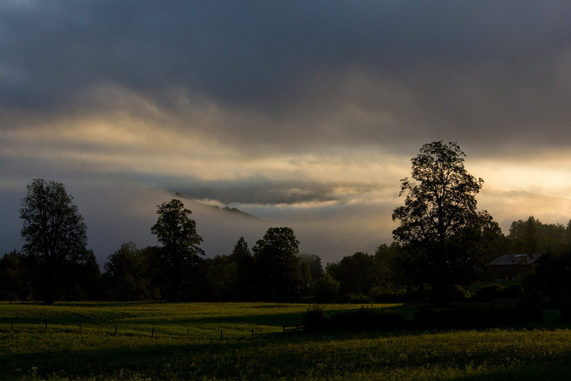 alba baviera alberi raggi estate