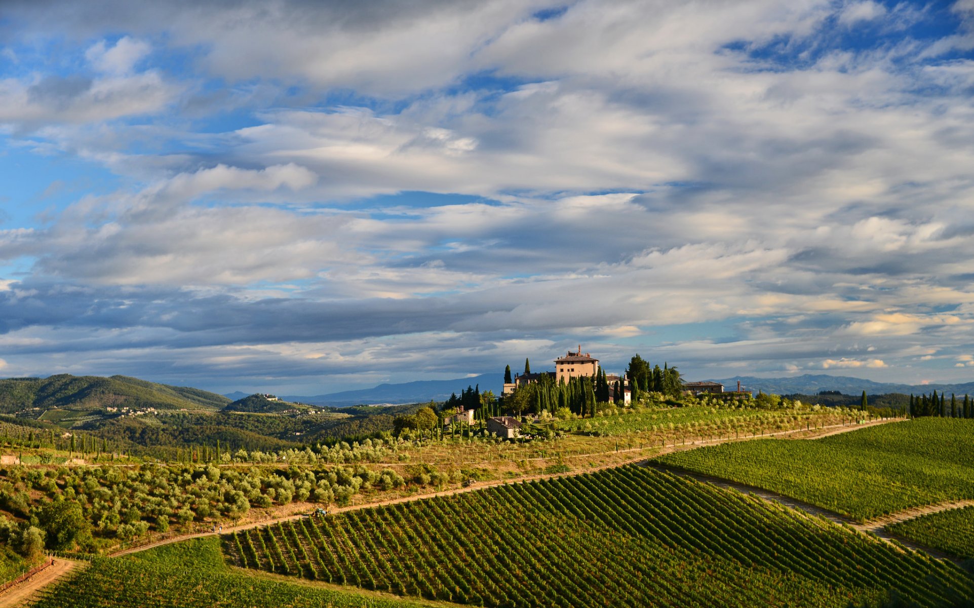 italy sky clouds hills of the field tree house vineyard mountain