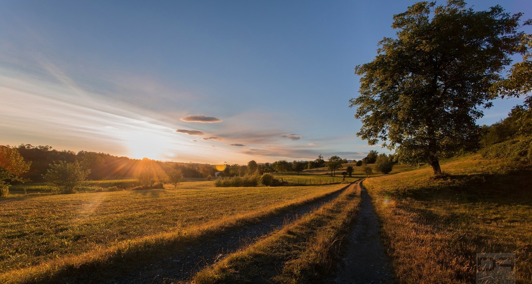 briosco lombardia italy lombardy dawn road meadow tree