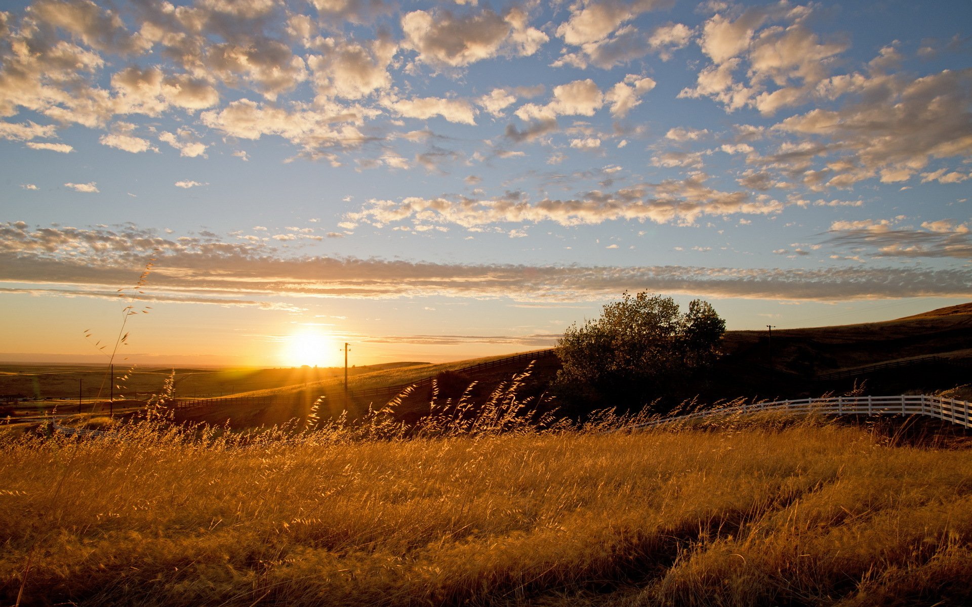 champ coucher de soleil clôture paysage