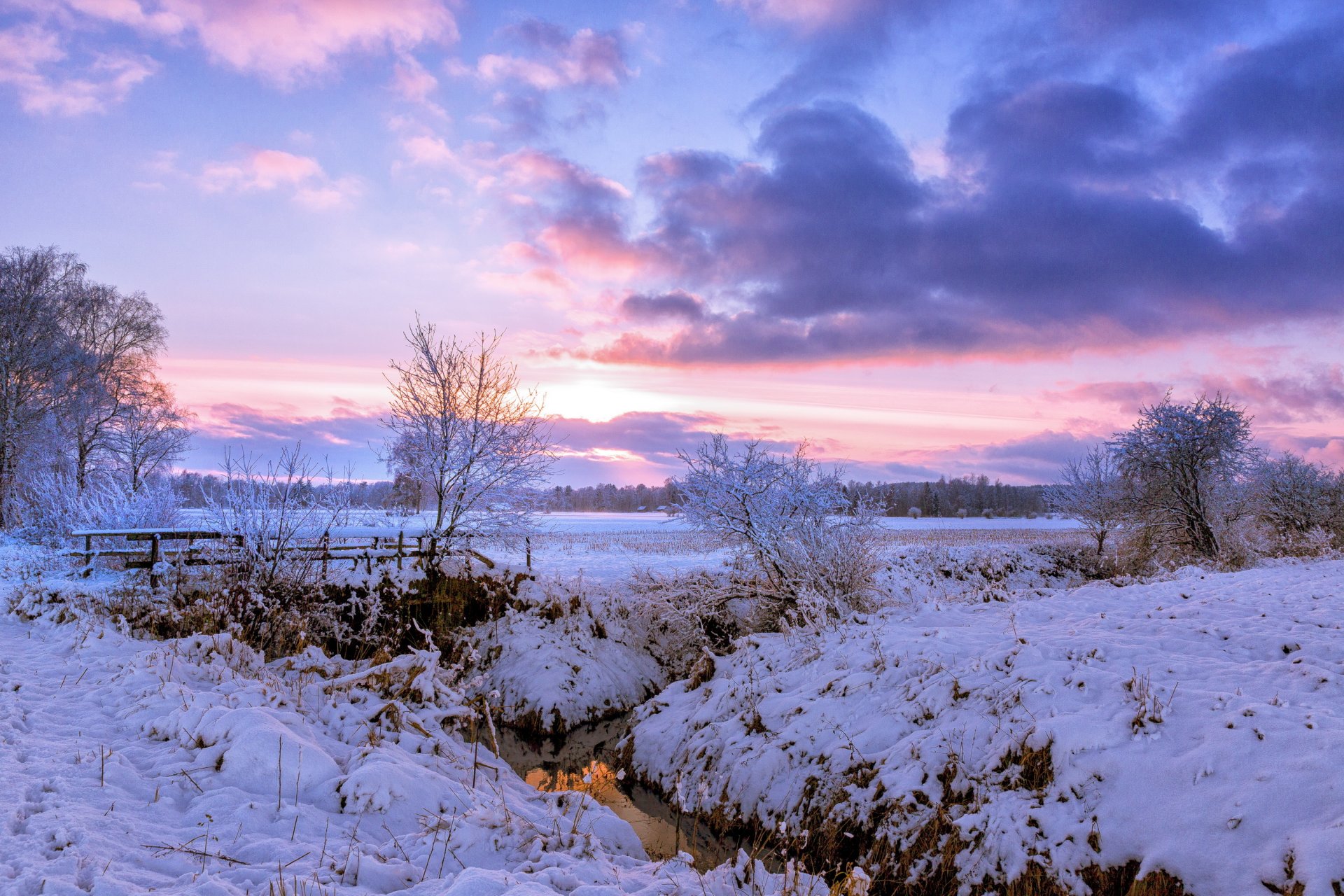 the field tree village river bridge snow winter morning dawn