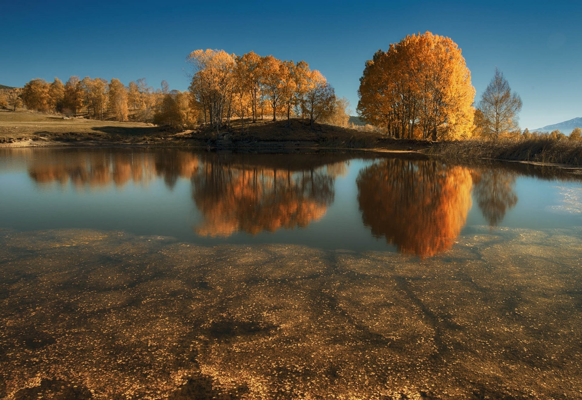 naturaleza otoño lago árboles reflexión